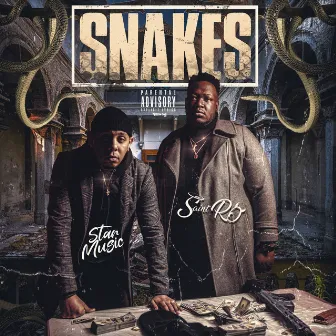 Snakes by Saint Ro