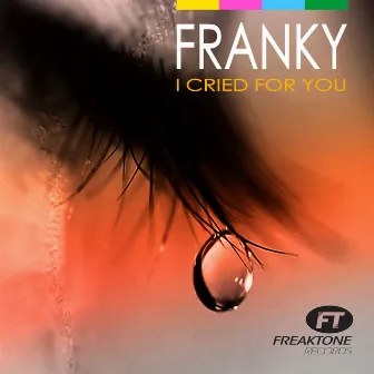 I Cried for You (Soulshaker Radio Edit) by Franky