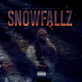 Snowfallz by TXK