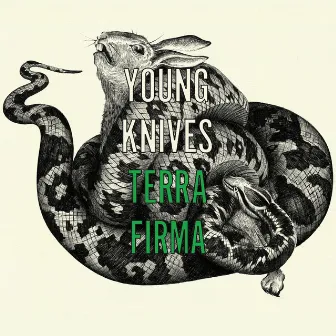 Terra Firma (1 track DMD) by Young Knives