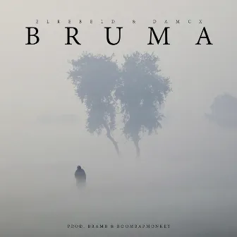 Bruma by DaMcX