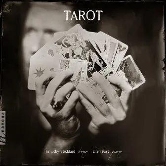 Tarot by Timothy Stoddard