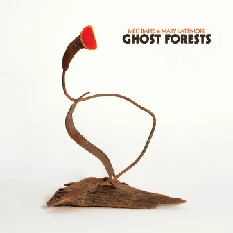 Ghost Forests by Meg Baird