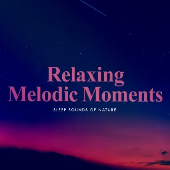 Relaxing Melodic Moments by Sleep Sounds Of Nature