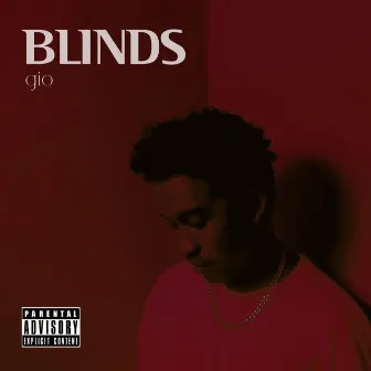 BLINDS by gio