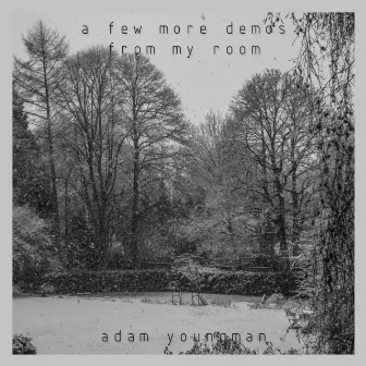 a few more demos from my room by Adam Youngman