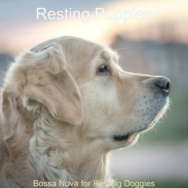 Backdrop for Resting Puppies - Happening Alto Sax Bossa Nova