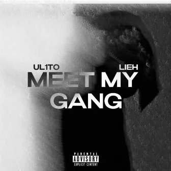 Meet My Gang by Lieh