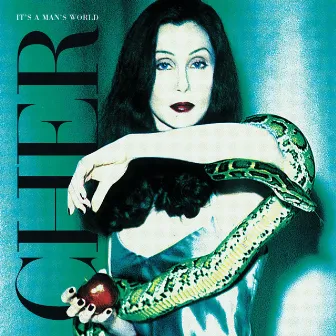 It's a Man's World by Cher