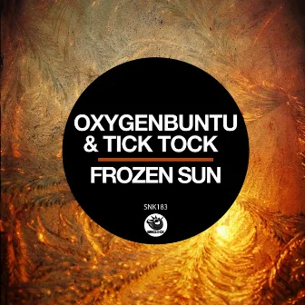 Frozen Sun by Tick Tock