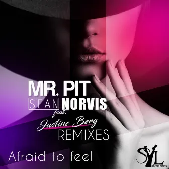 Afraid to Feel (Remixes) by Mr. Pit