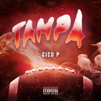 Tampa by Cico P