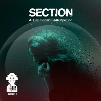 Say It Again / Apollyon by Section