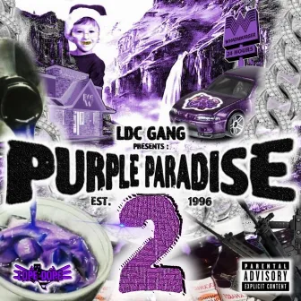 Purple Paradise 2 by Lope Dope