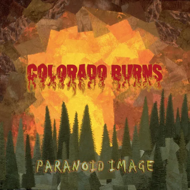 Colorado Burns