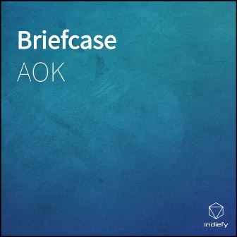 Briefcase by AOK