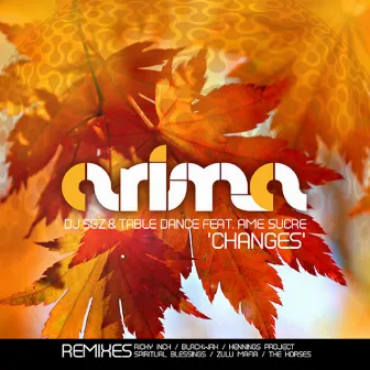 Changes by DJ SGZ