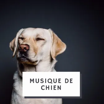 Musique De Chien by Musique De Chien