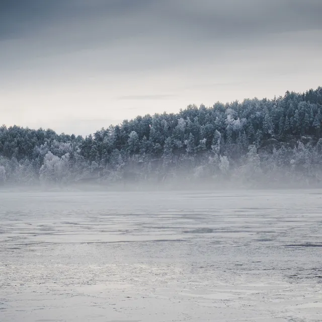 36 Christmas Tunes Full of Joy and Cheer for an Unforgettable Holiday Season