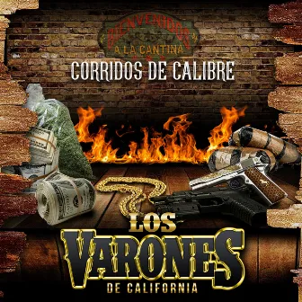 Corridos De Calibre by Los Varones De California