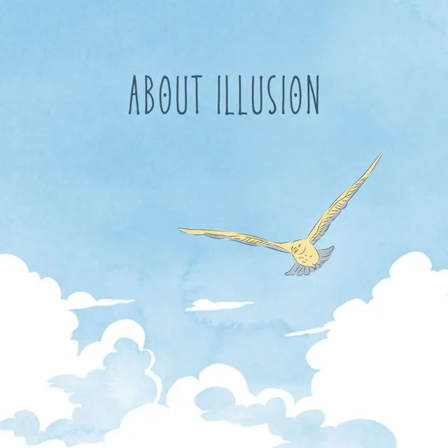 About Illusion