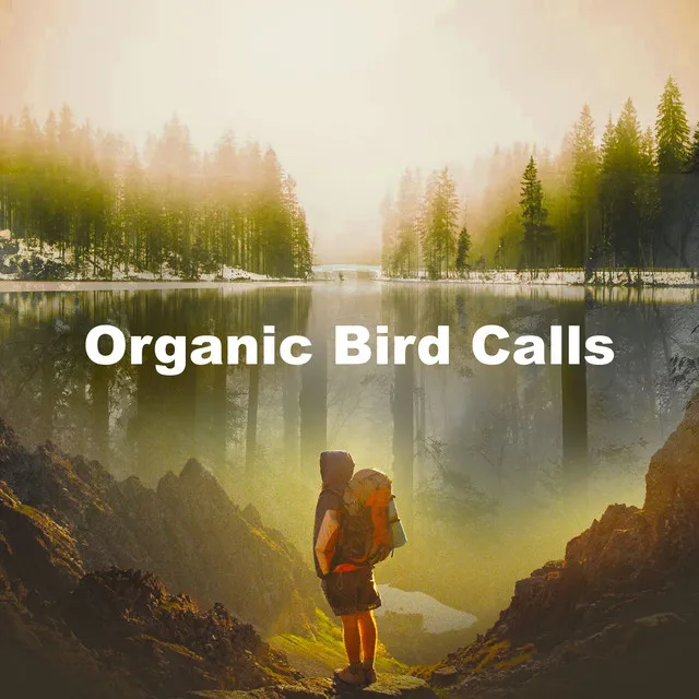 Organic Bird Calls