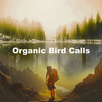 Organic Bird Calls by Bird Recordings