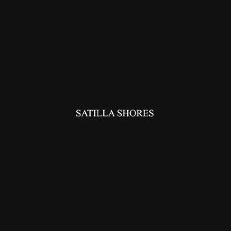 Satilla Shores by Leon Waldo