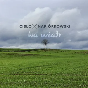 Na wiatr (Radio Edit) by Witold Cisło