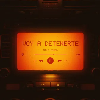 Voy a detenerte by Mila Egred