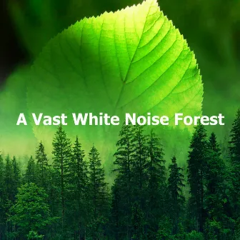 A Vast White Noise Forest by White Noise Forest