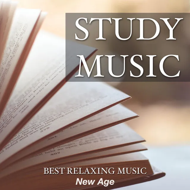 Study Music - Best Relaxing Music to Find Peace and Concentration while Reading