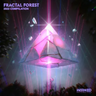 Fractal Forest - 2022 Compilation by Unknown Artist