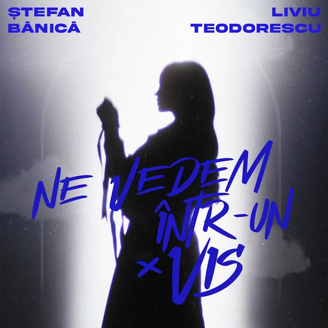 Ne vedem într-un vis (with Liviu Teodorescu)