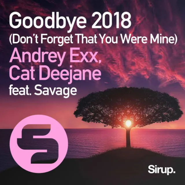 Goodbye (Don't Forget That You Were Mine) 2018 - Original Club Mix