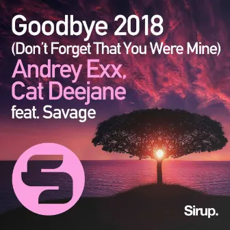 Goodbye (Don't Forget That You Were Mine) 2018 [feat. Savage] by Cat Deejane