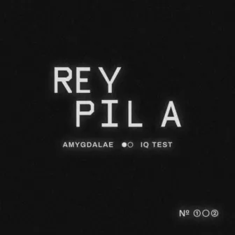 Amygdalae / IQ Test by Rey Pila