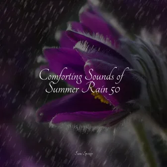 Comforting Sounds of Summer Rain 50 by Calming Waves