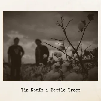 Tin Roofs & Bottle Trees by Stig Sjøstrøm