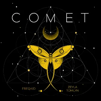 Comet by Zeyla Tomlyn