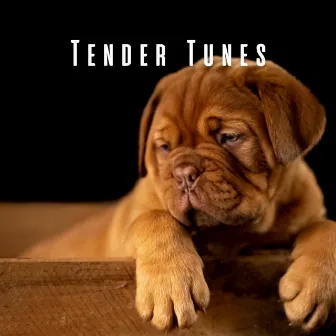 Tender Tunes: Melodic Moments for Dogs by Dogs at Home