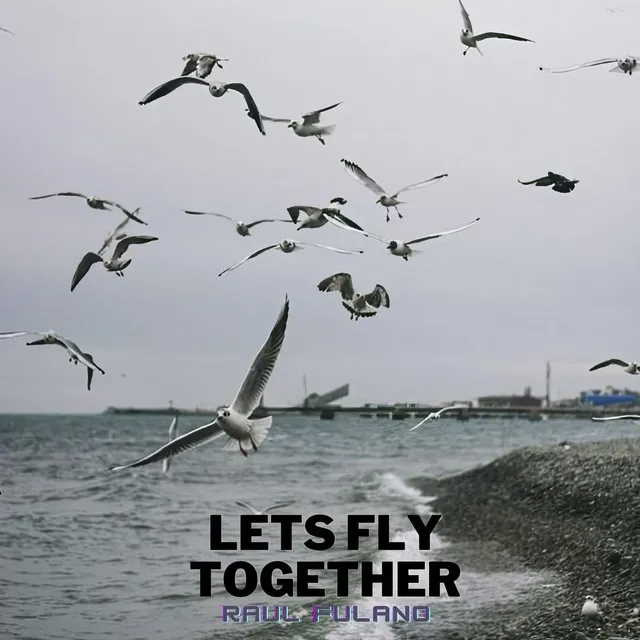 Lets Fly Together