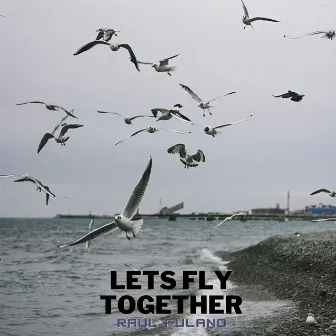 Lets Fly Together by Raul Fulano