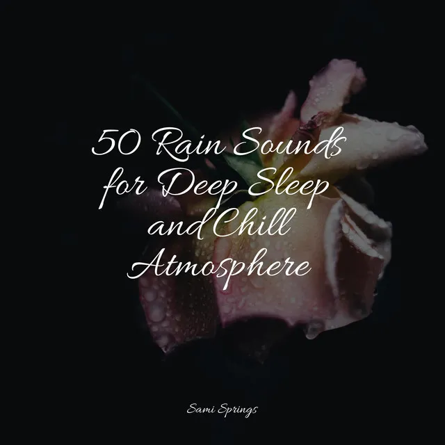 50 Rain Sounds for Deep Sleep and Chill Atmosphere