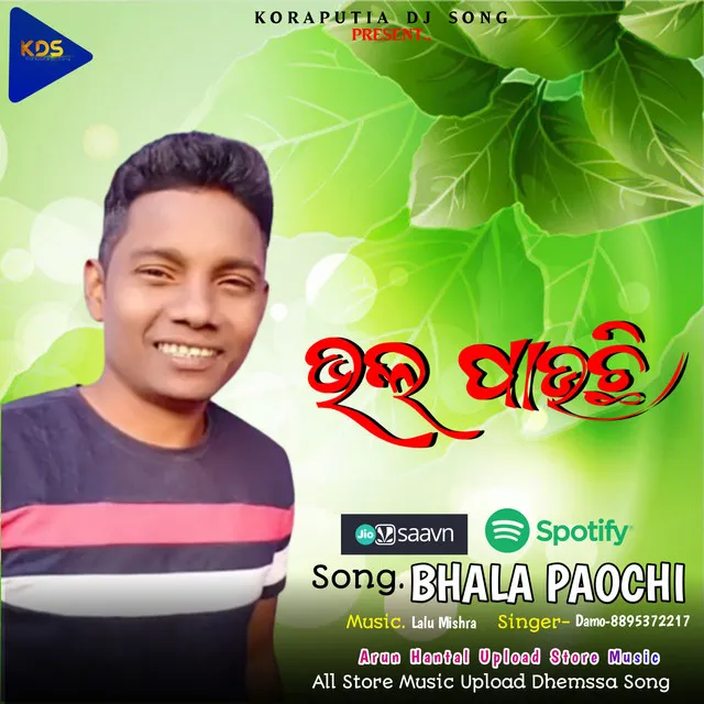 Bhala Paochi Koraputia - Koraputia Dhemssa Song