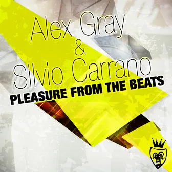 Pleasure from the Beats by Silvio Carrano