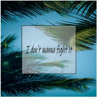 I don't wanna fight it by Adezza