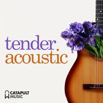 Tender Acoustic by Kristofer Bergman