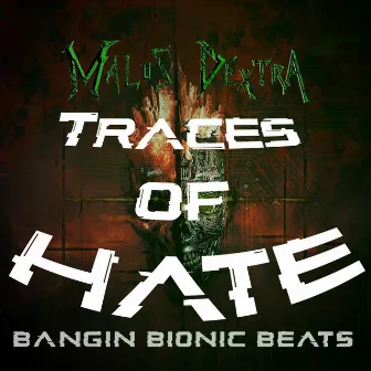 Traces of Hate (McLucas Remix) by 