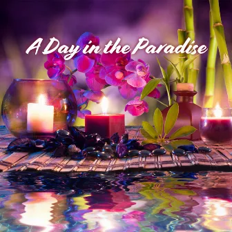 A Day in the Paradise: Calming Music for Serene Spa, Reiki Healing and Full Body Massage, Spa Day at Home, The Healing Touch of Nature Sounds by Relaxing Spa Oasis